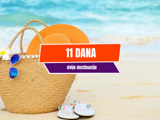 11 dana
