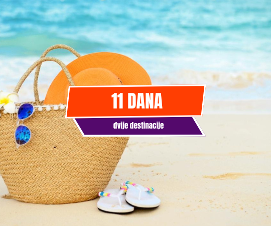 11 dana