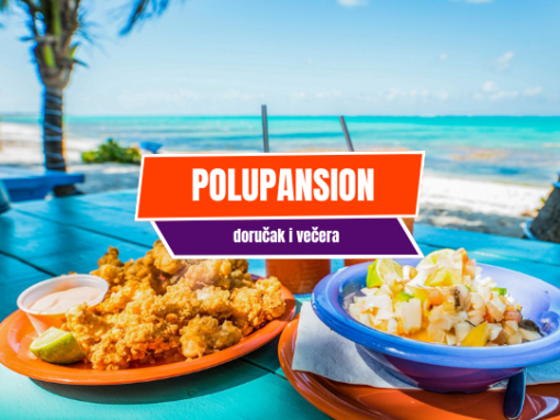 Polupansion